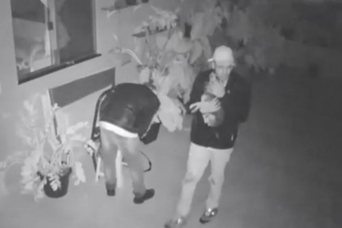Ladri entrano in casa e il cane chiede affetto ad uno di loro