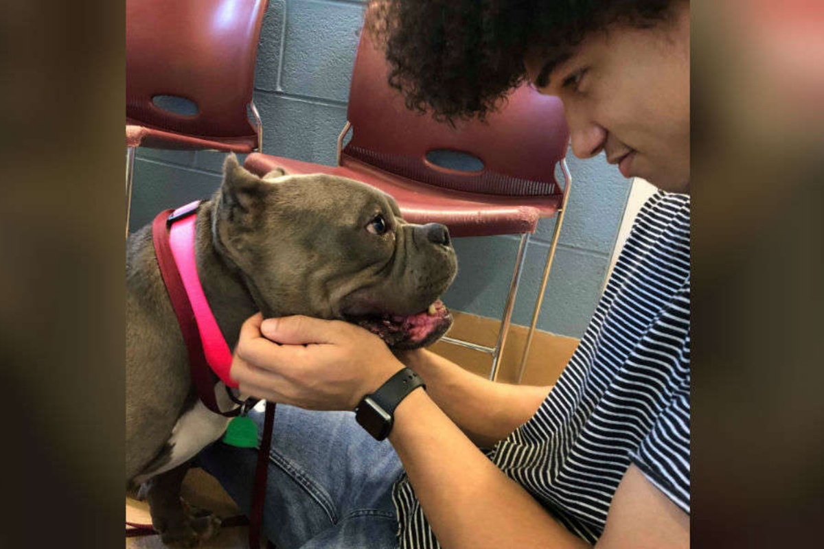 La reazione della piccola Lola, quando incontra il suo nuovo amico umano