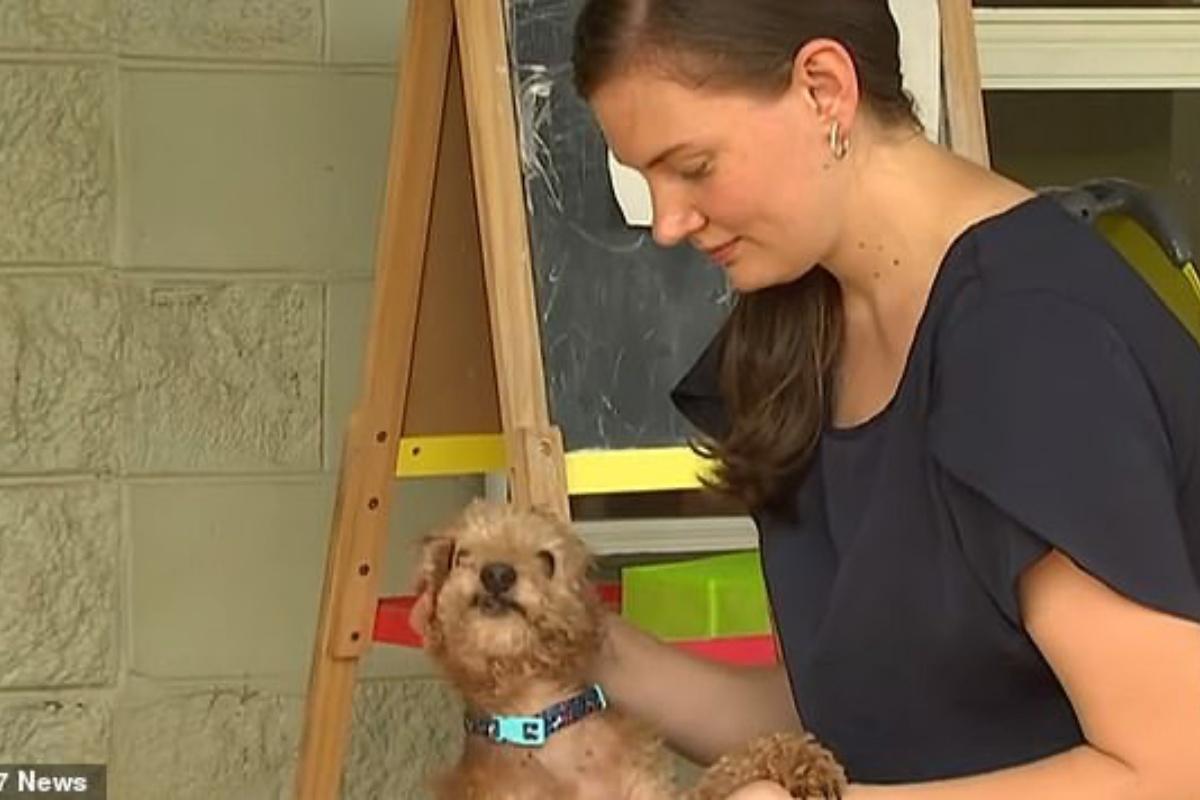 Lauren riabbraccia il suo cane Milo, tre anni dopo la sua scomparsa: dove lo hanno ritrovato