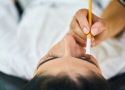 Pennelli di pelo animale