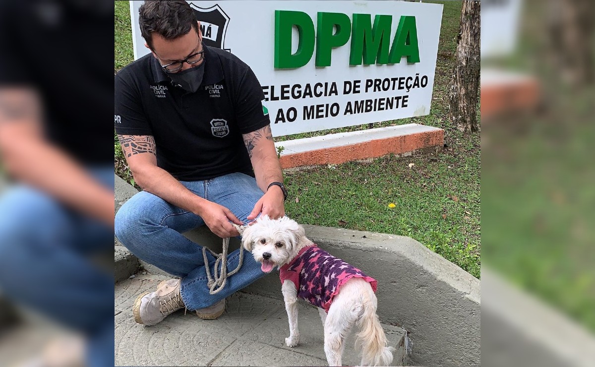 L'abbandono di un cucciolo