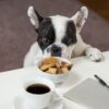 quanto-cibo-dare-al-cane -