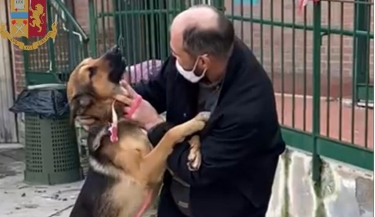 Ricoverato con urgenza in ospedale, si è fidato della persona sbagliata: la polizia salva il suo cane
