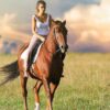 scegliere l'equitazione