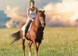 scegliere l'equitazione