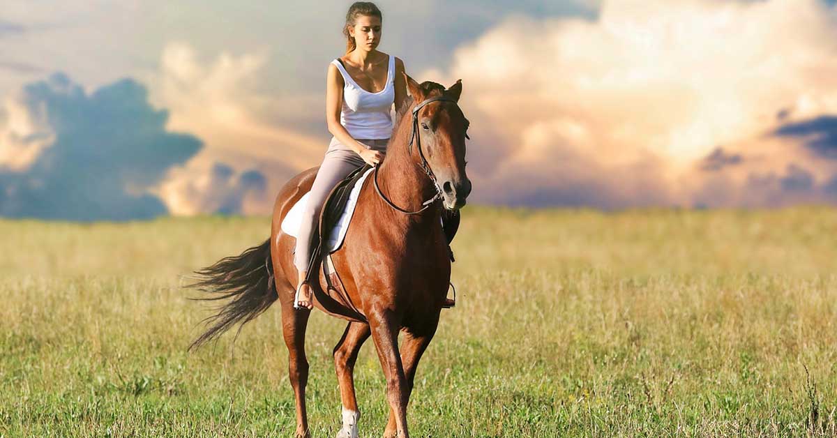 Un cavallo per amico: perché scegliere l’equitazione è un vero toccasana