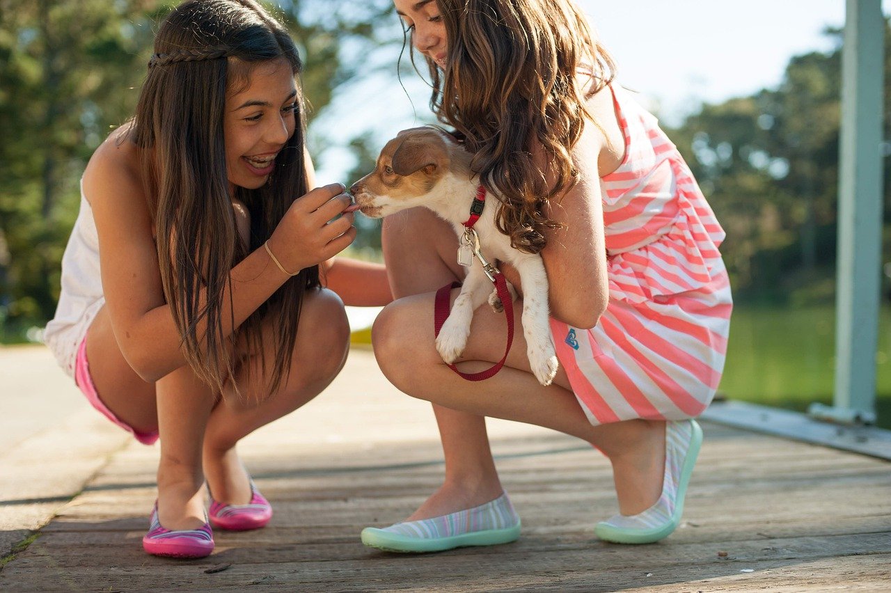 sorelline vogliono il cane