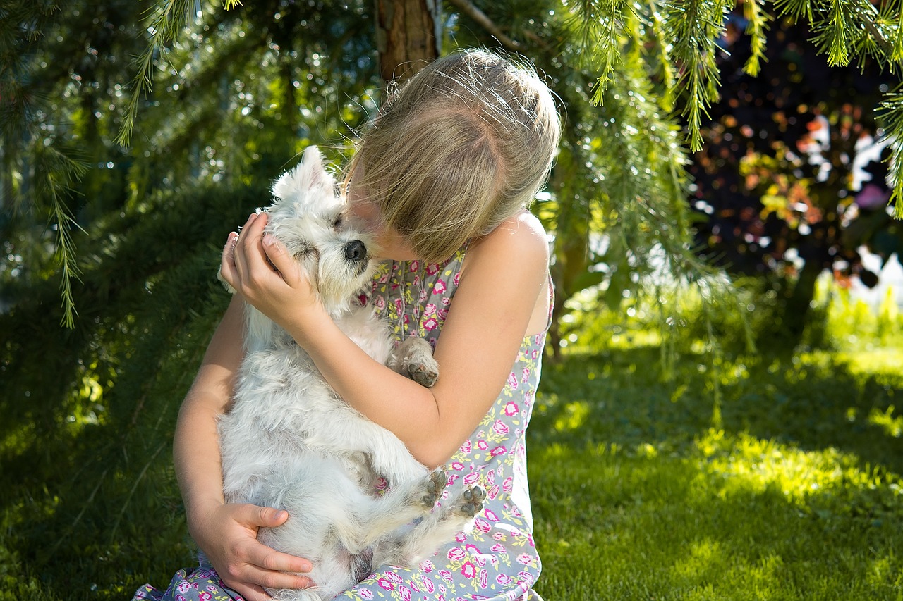 Adottare un cane in famiglia