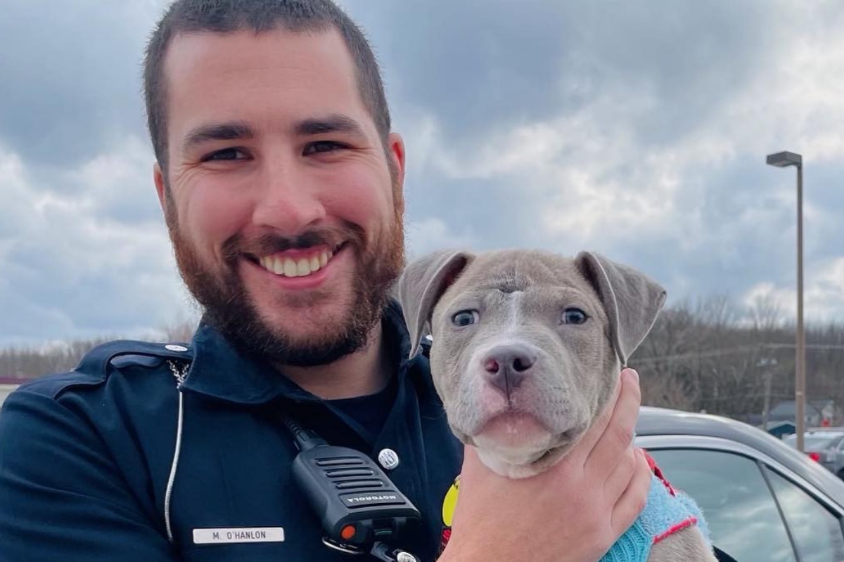 Poliziotto interviene per salvare un cane ferito, ma poco dopo prende una decisione improvvisa