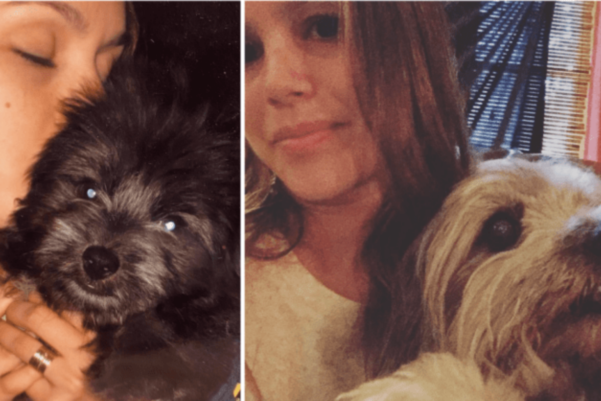 “Era la mia bambina!” Il triste annuncio dell’attrice per la morte del suo cane