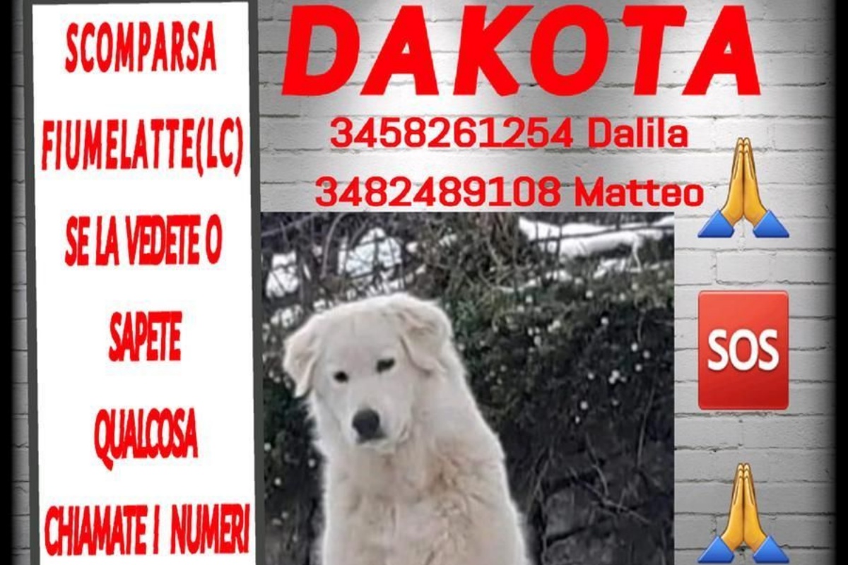 Il giallo della scomparsa di Dakota