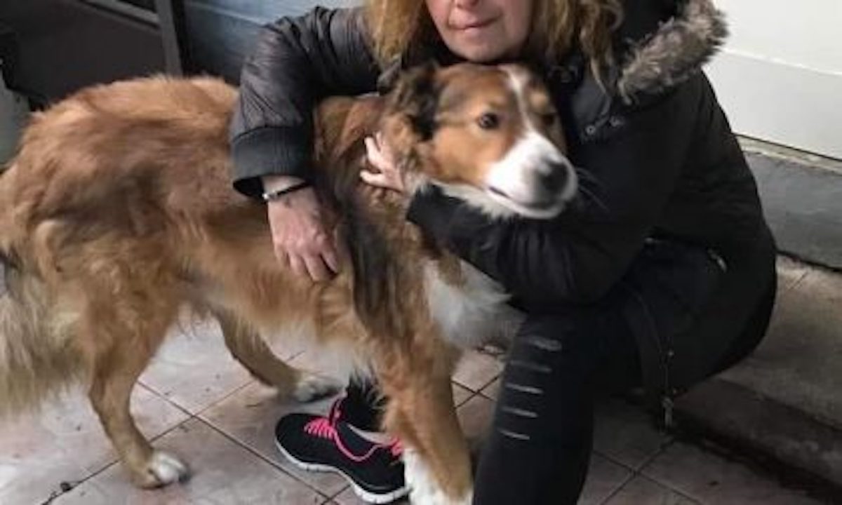 Elisabetta Barbieri insieme a un cane