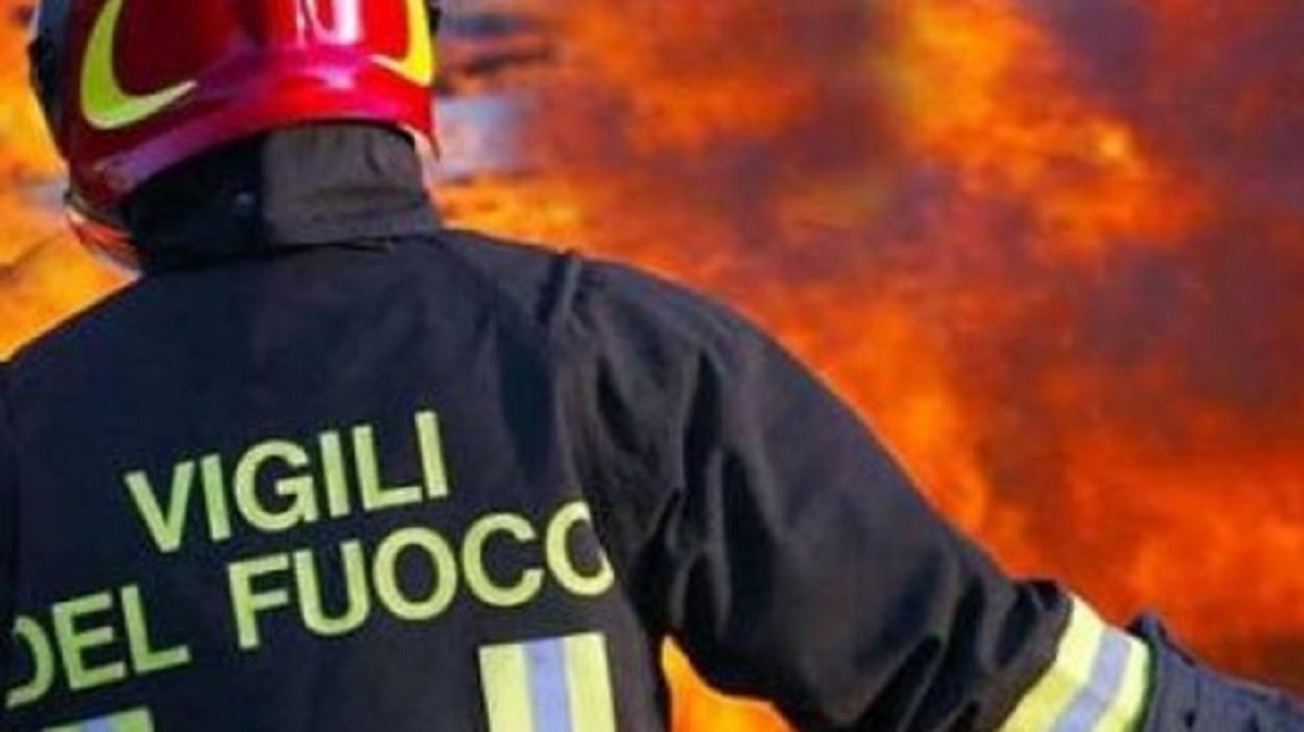 Sta bruciando il canile di Olgiate Comasco, i volontari stanno cercando un cane disperso, la situazione è terribile