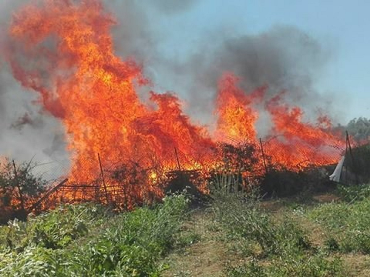 incendio cause da accertare
