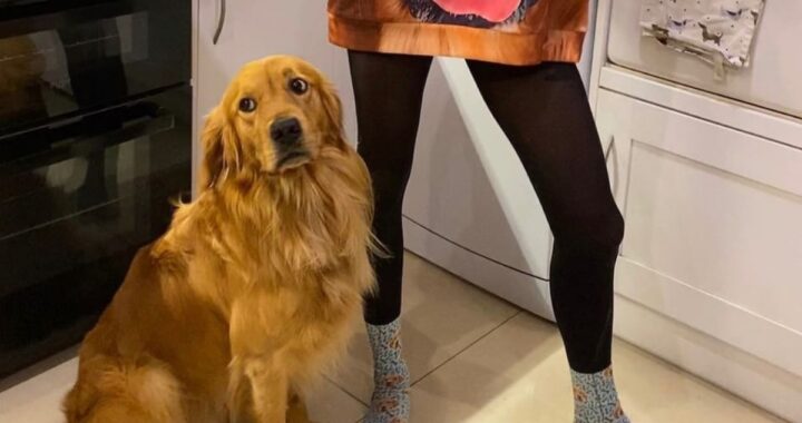 Il dolce video di Huxley