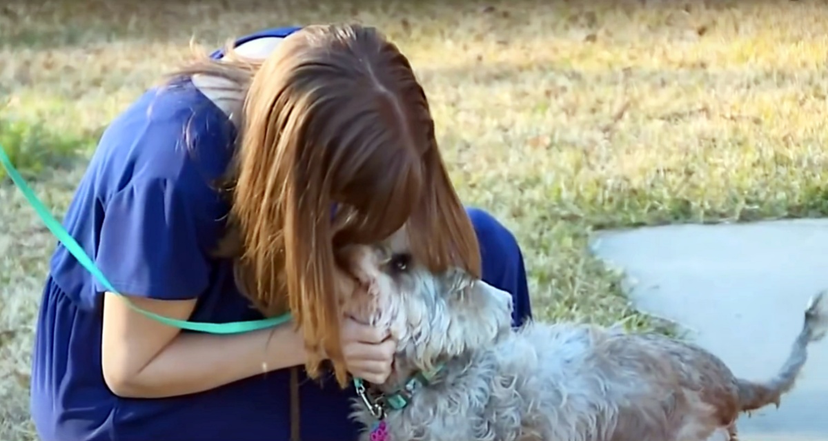 Ritrovano la loro cagnolina dopo tre anni: guardate cosa fa quando li vede