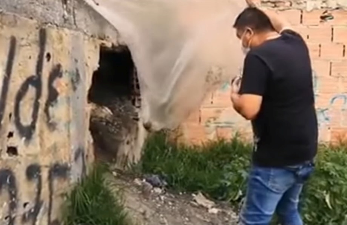 Una mamma randagia e i suoi cuccioli si rifugiano sotto un edificio pericolante: il difficile intervento dei volontari