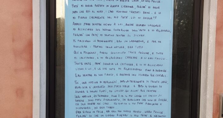 "Ucciso da chi non sa amare". La commovente lettera di Beethoven, il cane morto avvelenato. Tutti dovrebbero leggerla