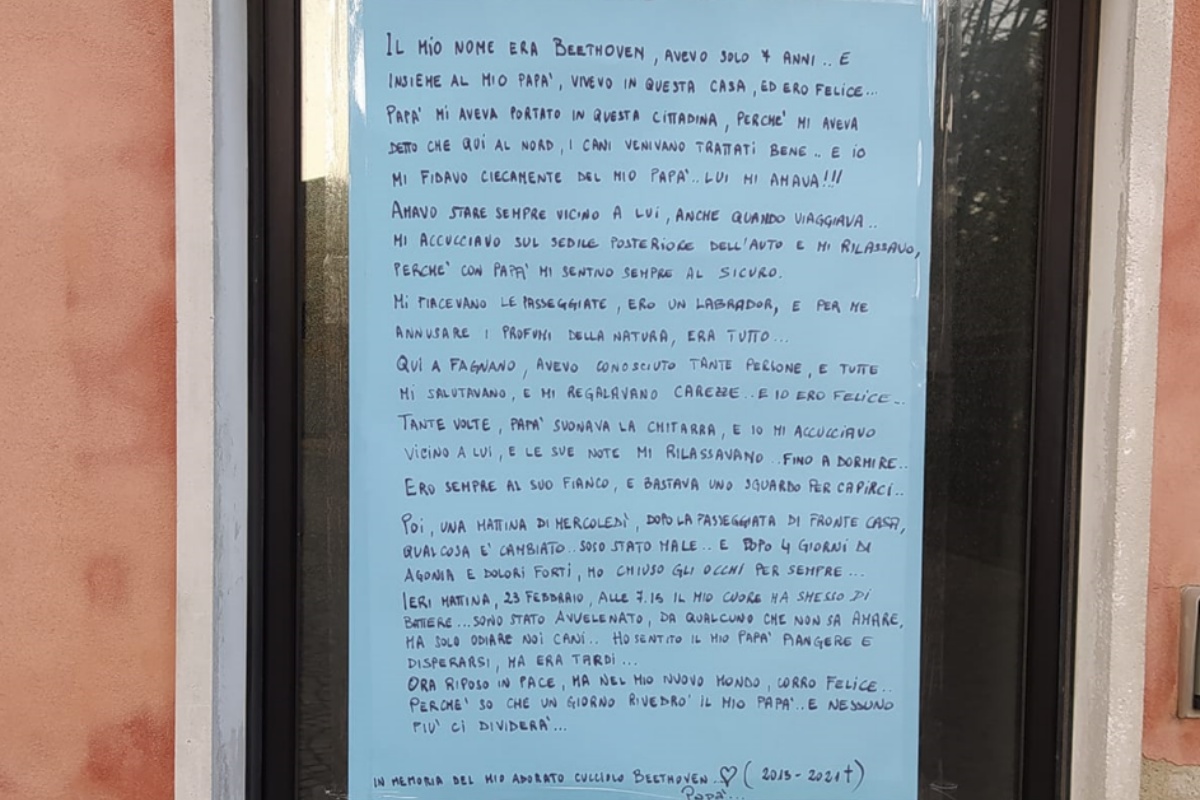 “Ucciso da chi non sa amare”. La commovente lettera di Beethoven, il cane morto avvelenato. Tutti dovrebbero leggerla