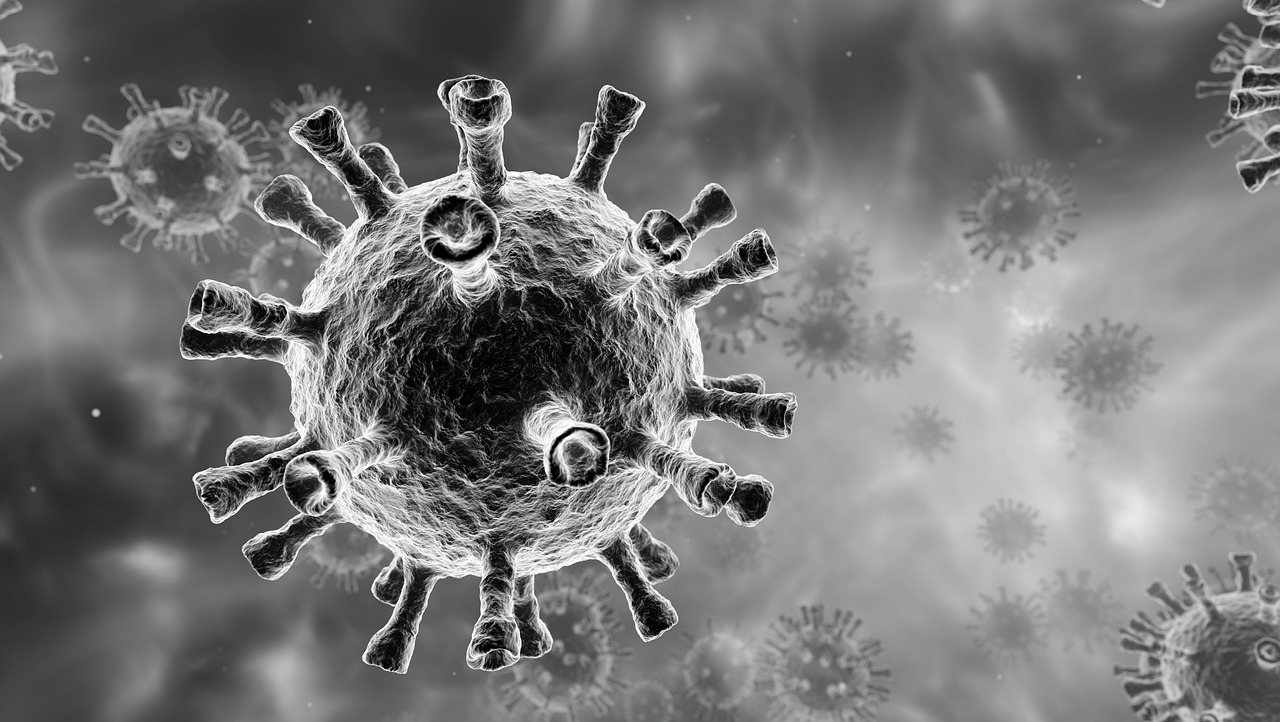 Epidemia di coronavirus