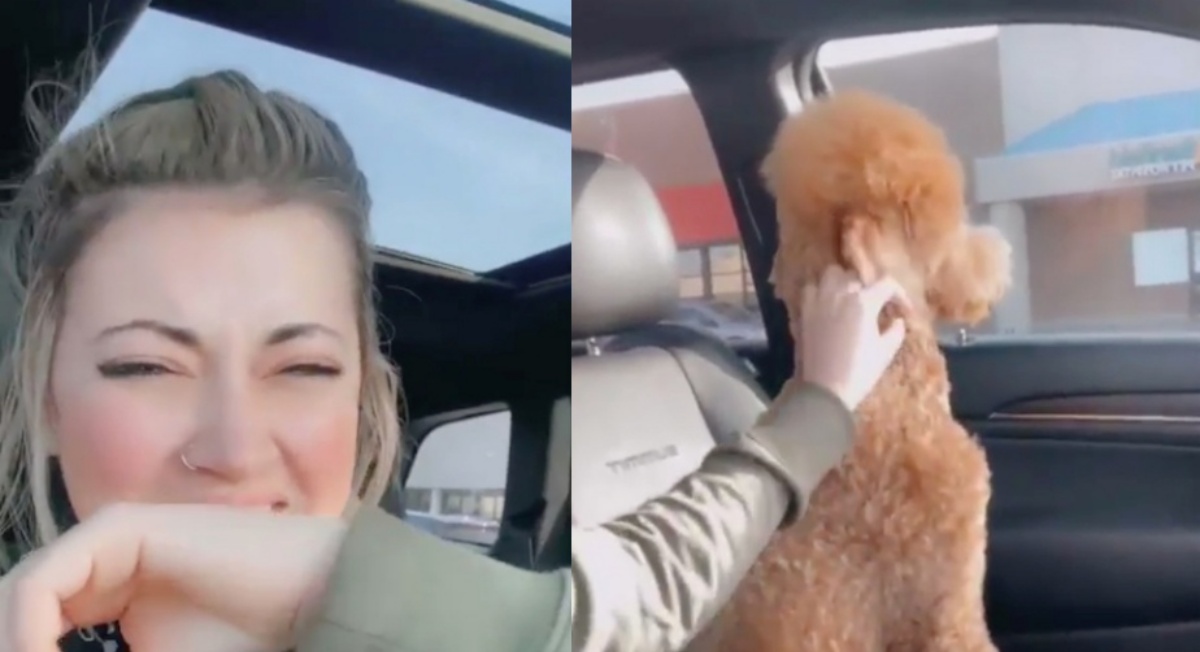 (VIDEO) Aveva il pelo troppo lungo e sua mamma lo ha portato dal toelettatore: la sua reazione è da morire dal ridere