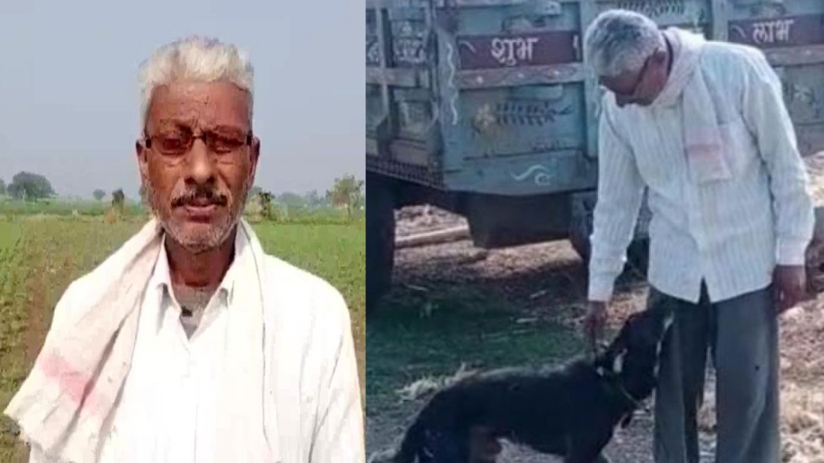 “Lui non mi ha mai deluso, i miei figli invece si”, decide di lasciare la sua eredità al cane. Ecco cosa accadrà dopo la sua morte