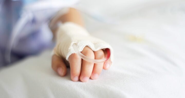 Cani randagi aggrediscono una bambina di 7 anni