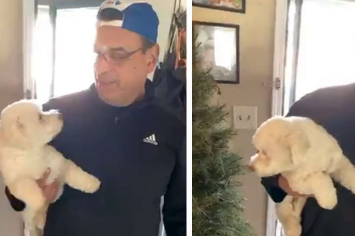 Uomo va a riprendere il suo cane dal toelettatore, ma scopre di aver commesso un grave errore