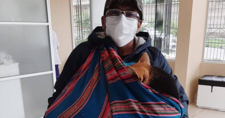 Ha percorso chilometri con quella cagnolina inerme in braccio per raggiungere la clinica e implorare i medici di aiutarlo