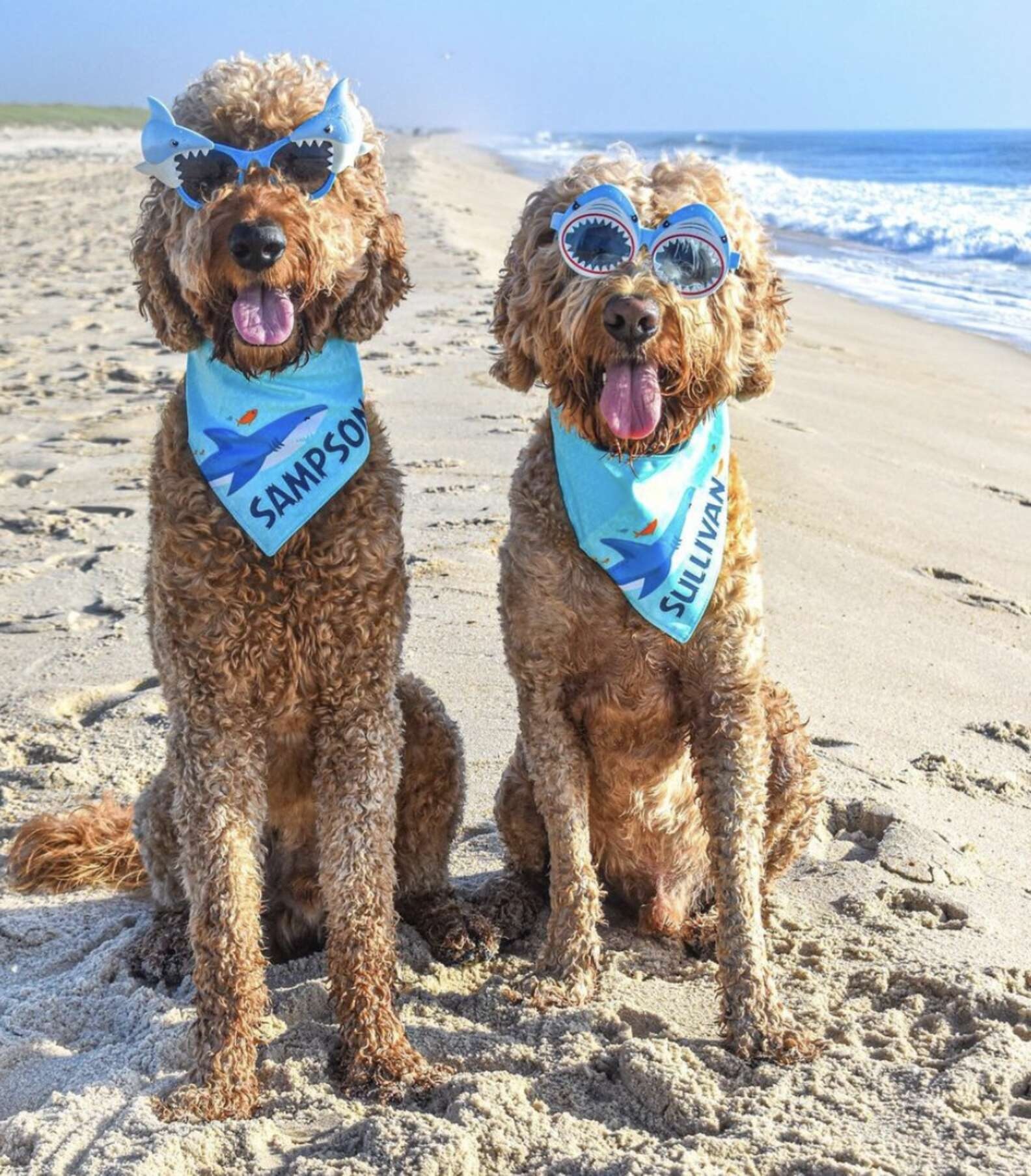 Sullivan e Sampson in spiaggia