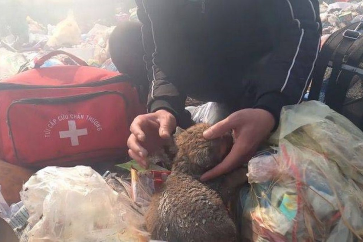 cucciolo abbandonato discarica