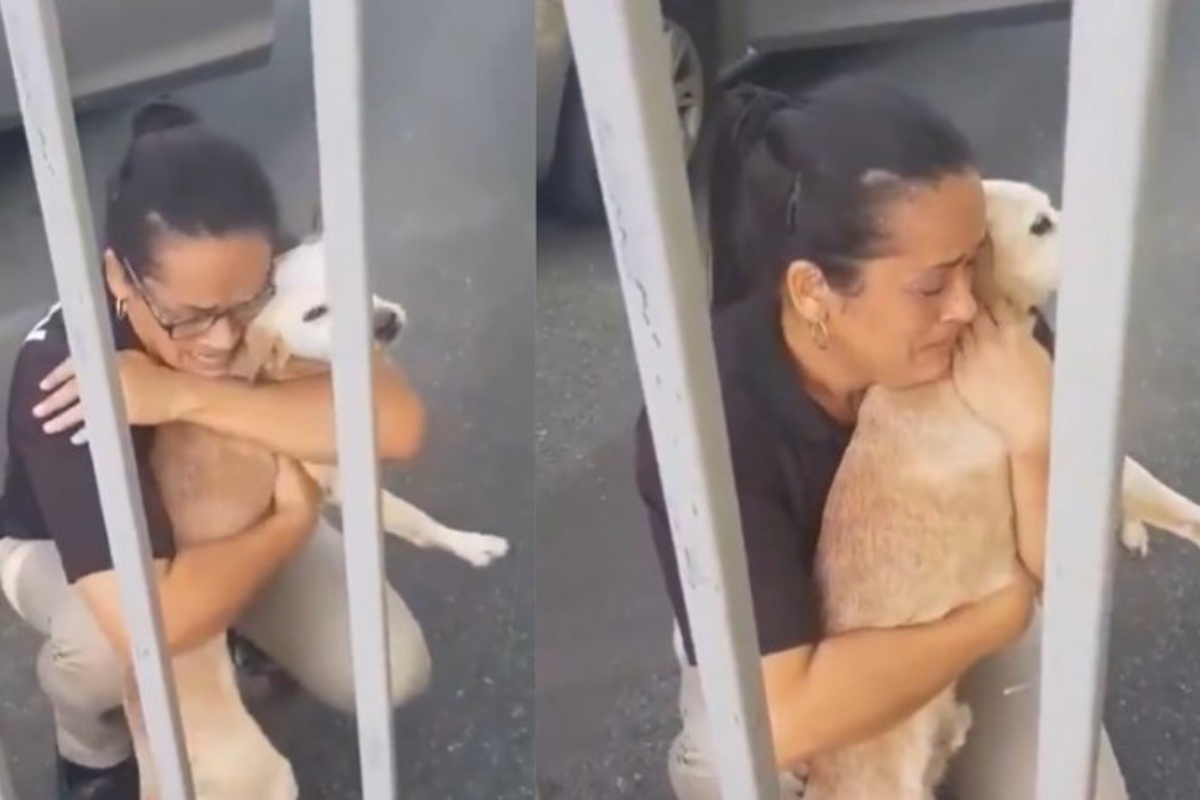 Donna ritrova il suo cane scomparso 10 giorni dopo: la sua reazione è commovente