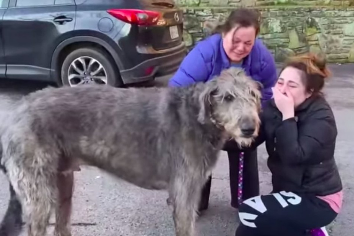 Dopo il grave incidente stradale, Fergus ha potuto riabbracciare la sua famiglia