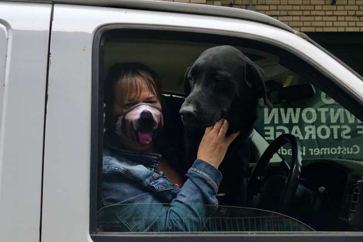 Malvivente ruba il furgone con 12 cani dentro: ritrovato