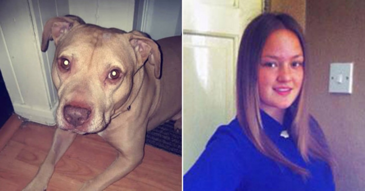 Cane attacca e uccide una ragazza di 25 anni