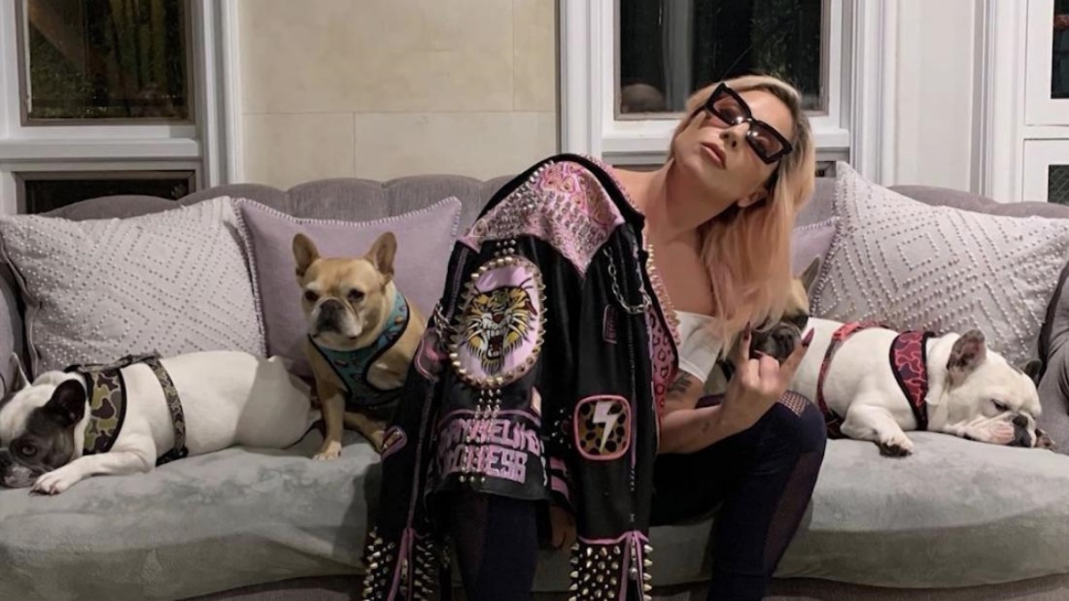 I cani di Lady Gaga sono stati ritrovati