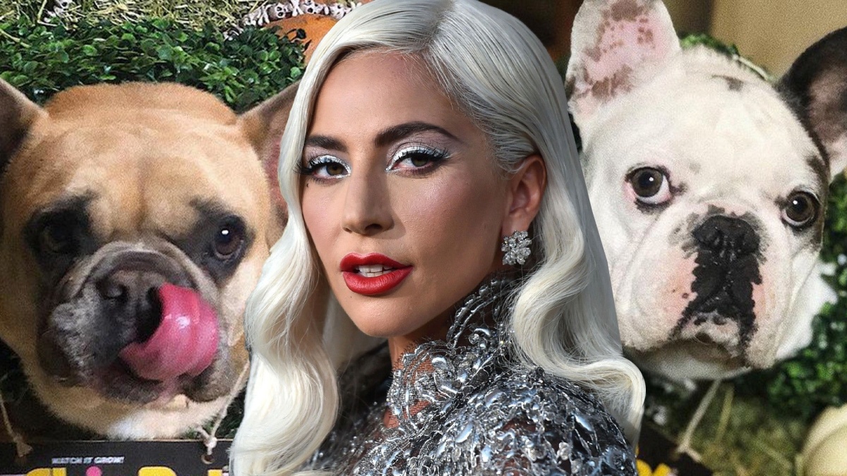 I cani di Lady Gaga sono stati ritrovati 