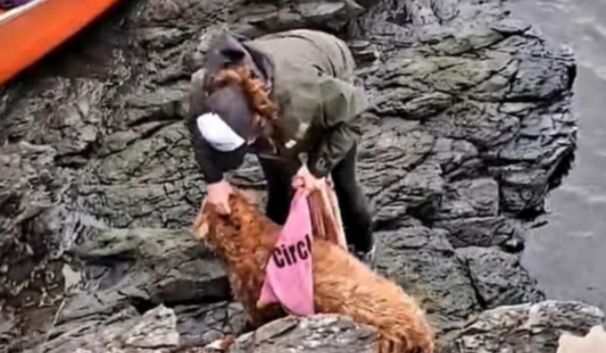 “L’ho cercata per giorni e mi ero quasi arreso. Poi l’ho vista su quelle rocce. Non si muoveva…”