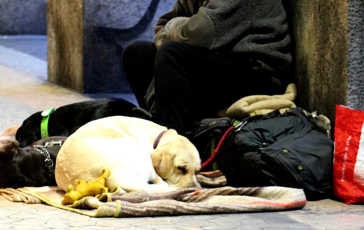 Modena, agenti sequestrano un cane a un senzatetto