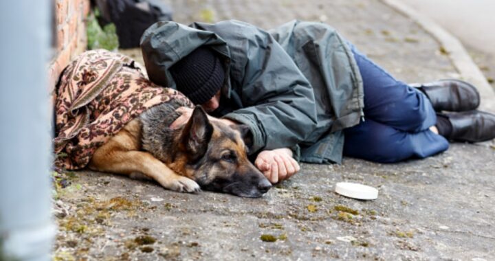 MODENA - Dopo l'allarme dei cittadini, le autorità hanno chiesto spiegazioni al senzatetto e alla hanno fine sequestrato il cane