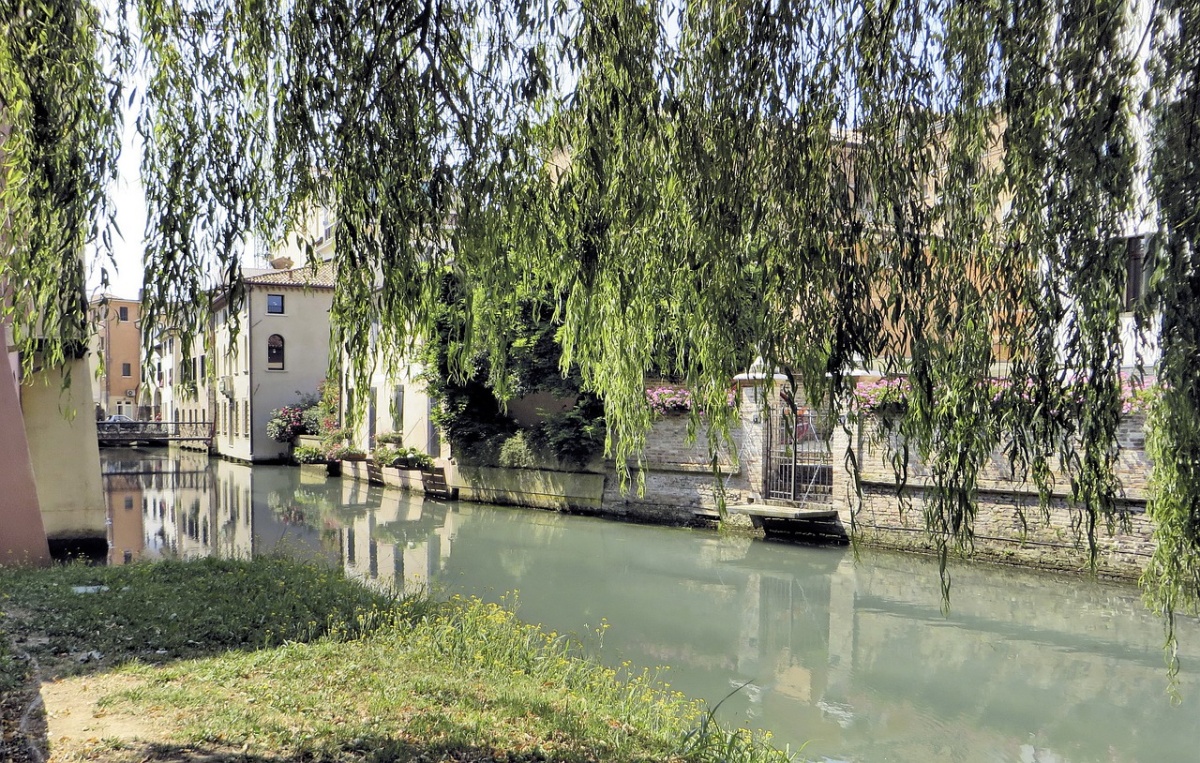 Signora anziana investe un cane e fugge via