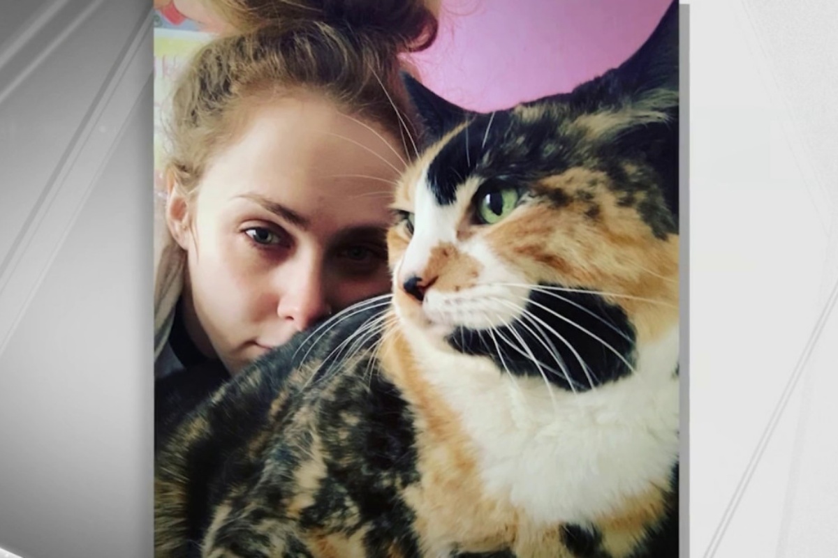 Jennifer ha potuto riabbracciare la sua gattina Willow, una settimana dopo il furto della sua auto