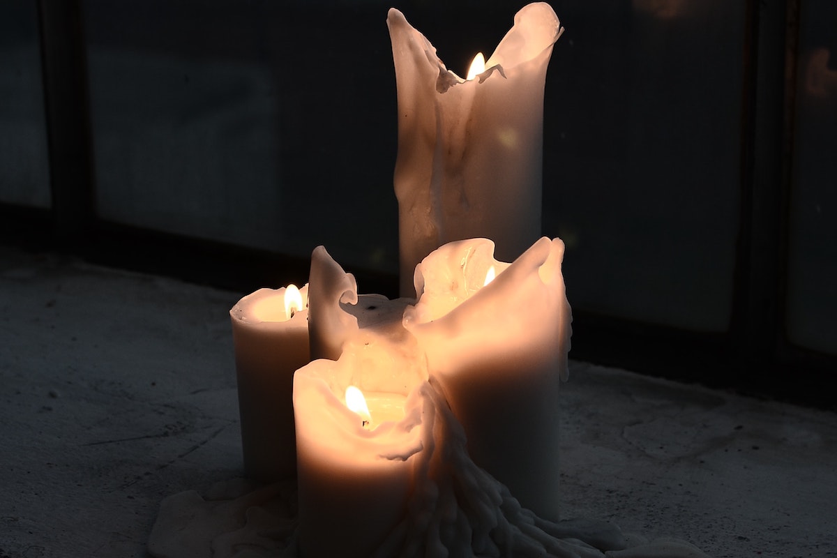 75enne trovato senza vita. Viveva con 6 gatti e una tartaruga ed era morto da un mese