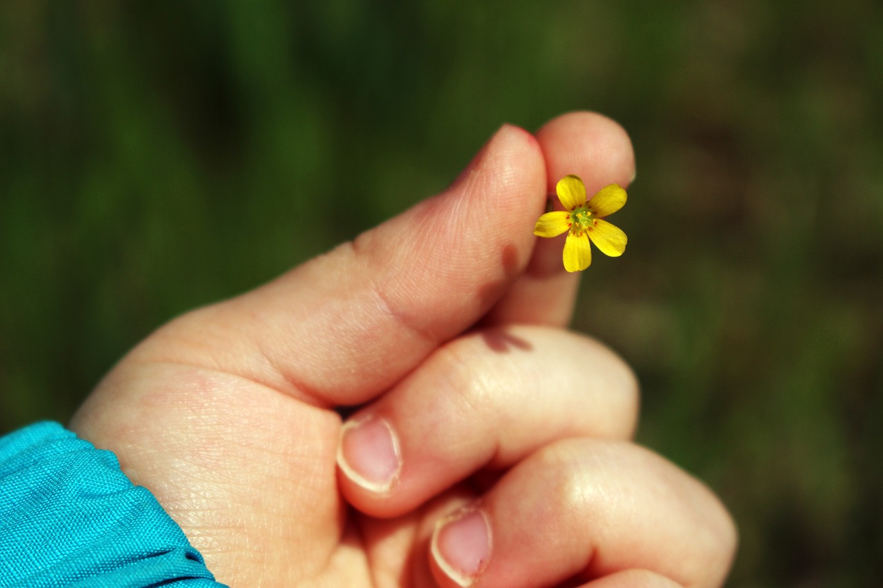 Pericoli in casa per i bambini