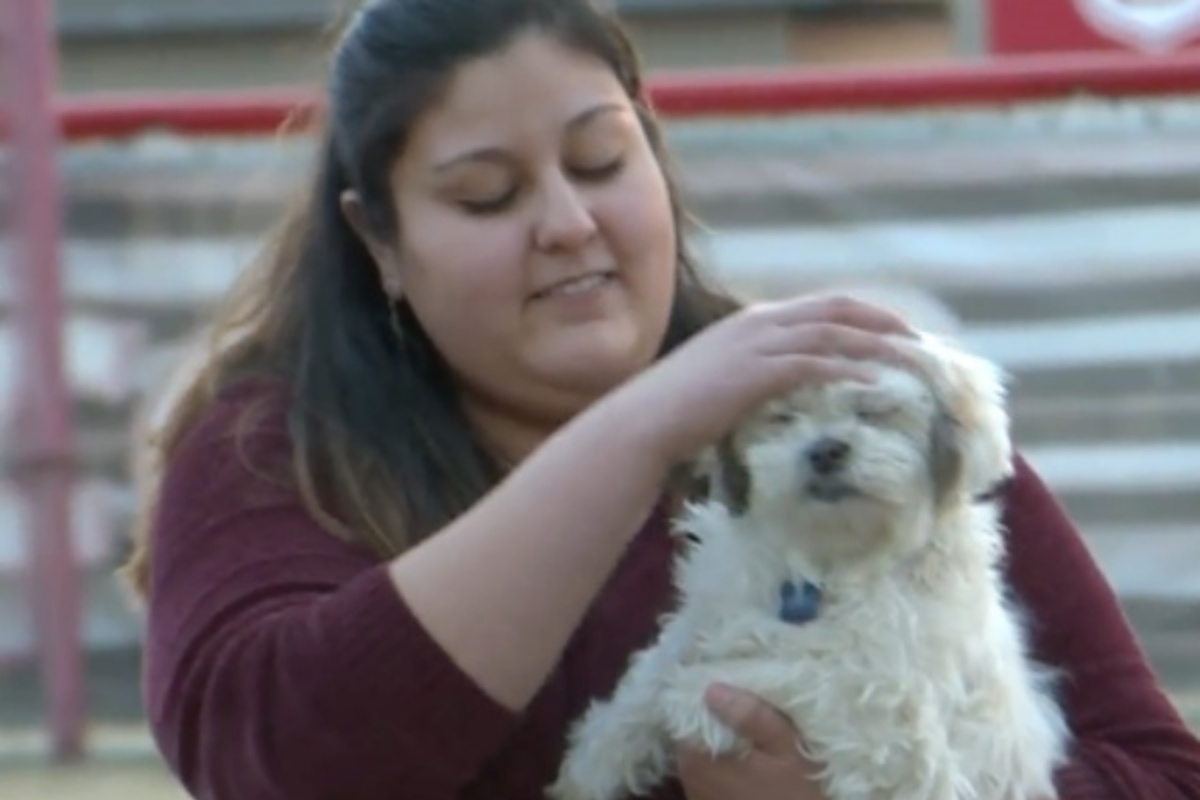 Il cagnolino ha iniziato a stare male dal toelettatore e la sua padrona ha avuto un attacco di panico: “Stavano male entrambi e io ero lì e non sapevo cosa fare”