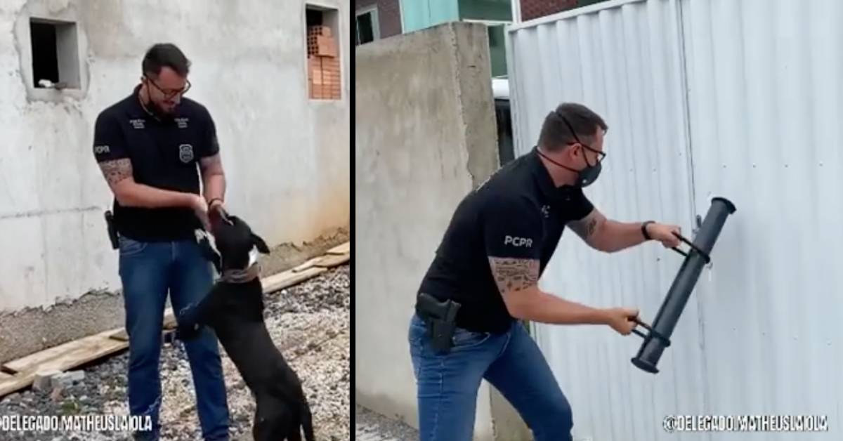Cane incatenato senza acqua e cibo: interviene la polizia (VIDEO)