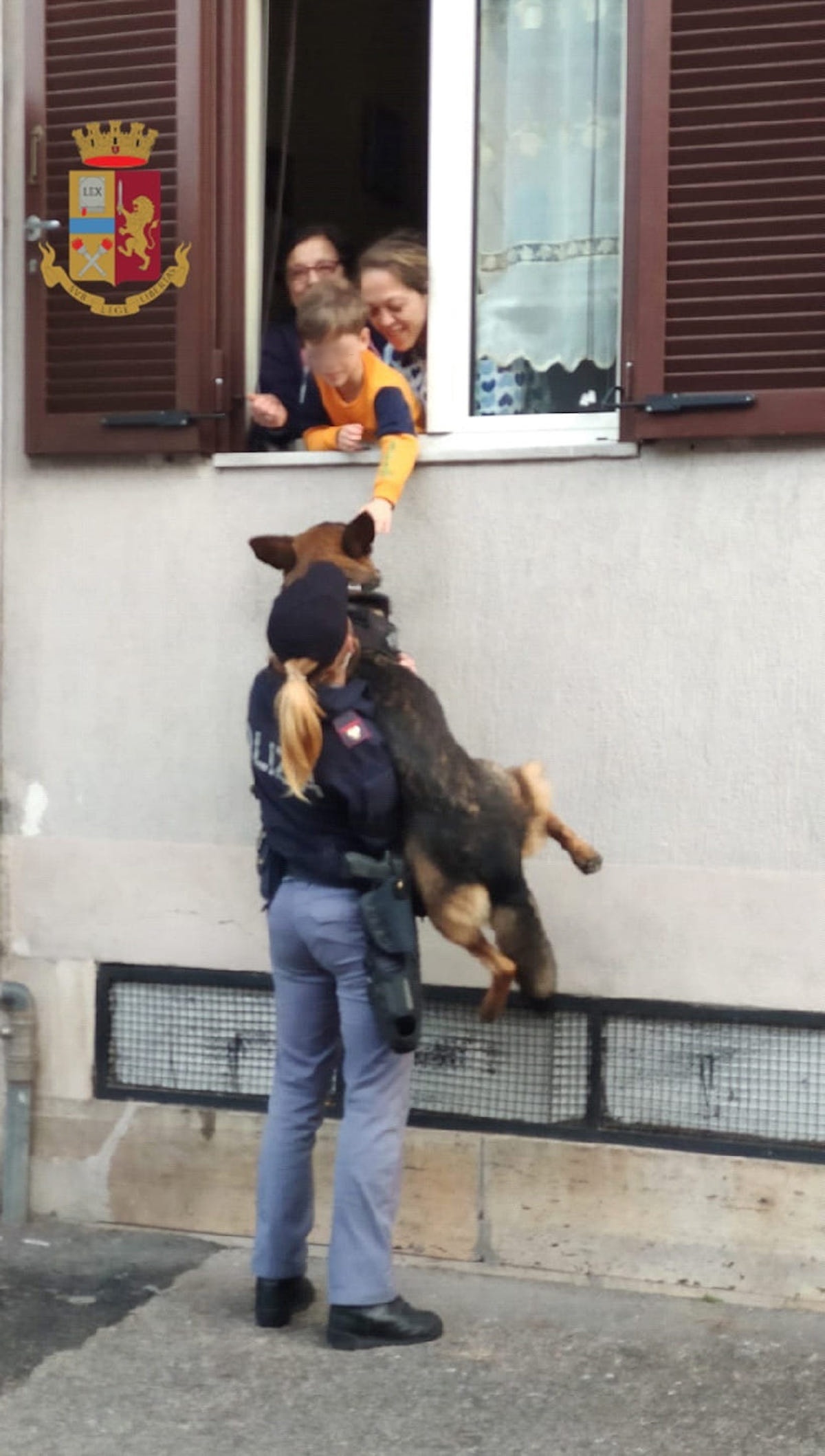 Bimbo dà una carezza al cane