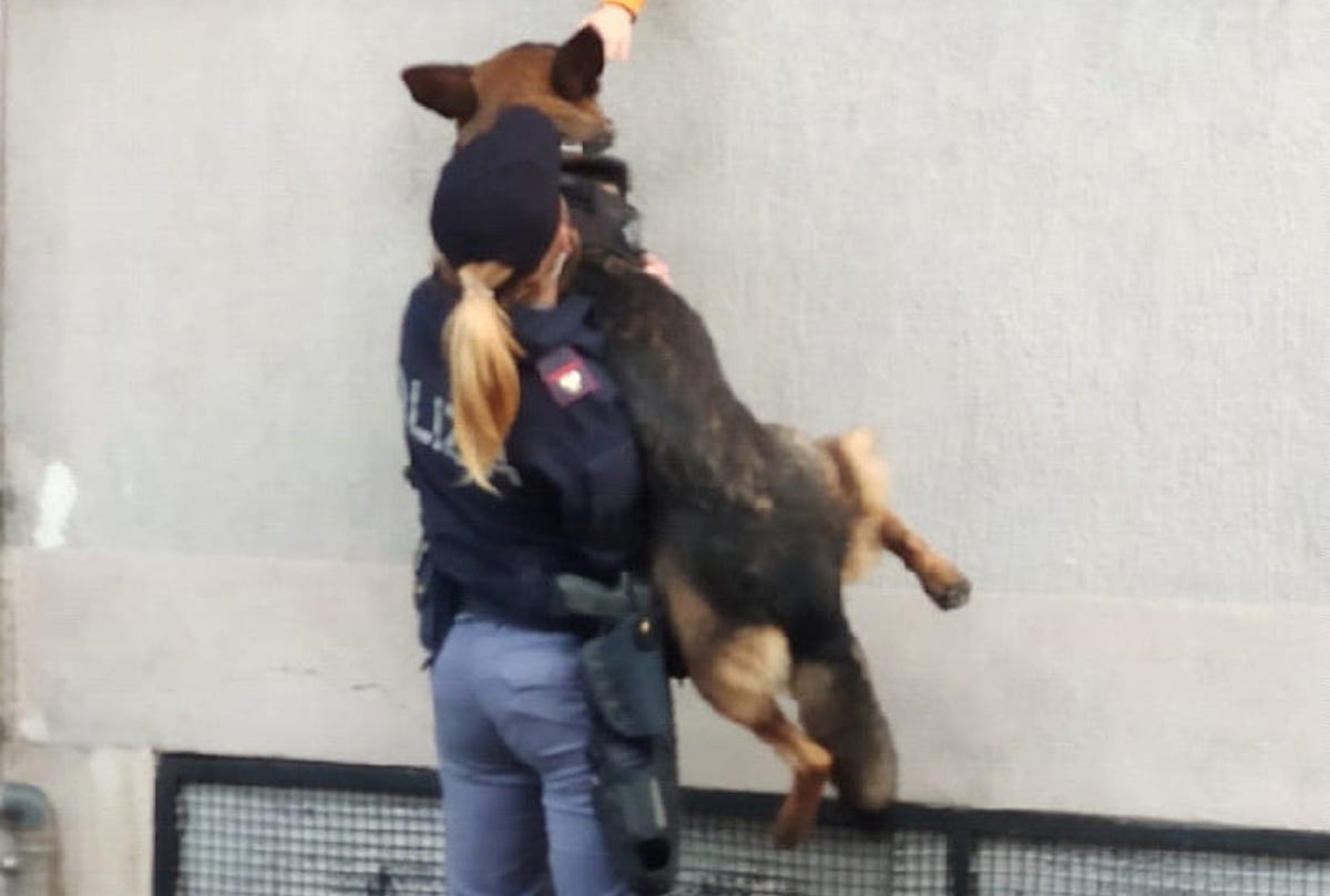 Poliziotto con il cane