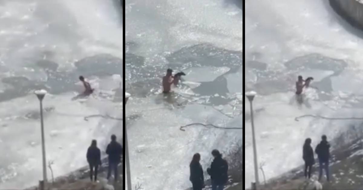 Cane salvato dall’acqua gelida da un giovane ragazzo, il video del salvataggio