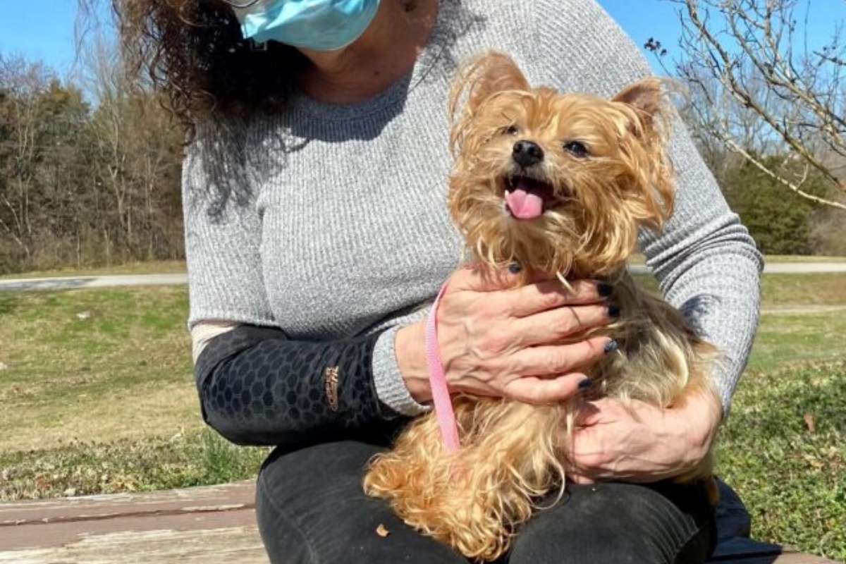 Il cagnolino Connor è tornato a casa dopo 13 anni